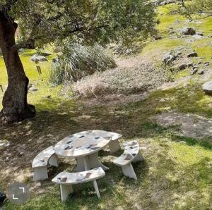 Un jardín fuera de COSTA COM Cabañas