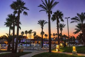 a group of palm trees in a parking lot at HOTEL BARONE DI MARE in Torre dell'Orso