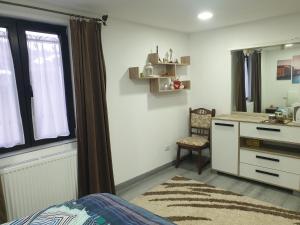 1 dormitorio con cama, escritorio y lavamanos en Dumi's House, en Borşa