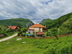 una casa en un campo con montañas al fondo en Pensiunea Castania - Pensiune cu piscina la munte, en Polovragi