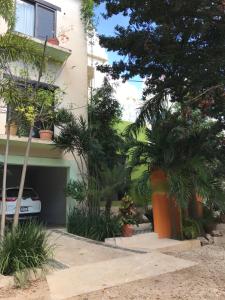 普拉亞德爾卡曼的住宿－Real Escondida，一座建筑前面有棕榈树车库