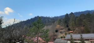 a view of a mountain with houses and trees at Appartement im Hasental in Garmisch-Partenkirchen