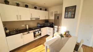 Kuchyň nebo kuchyňský kout v ubytování Apartment Blochmann-Cárre
