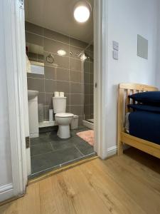 a bathroom with a toilet and a walk in shower at Ariana House Hotel-Families and Couples Only in Blackpool
