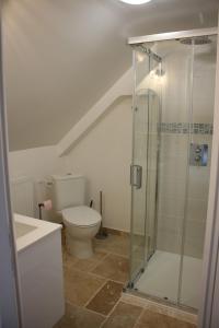 a bathroom with a toilet and a glass shower at Ty Daou - Gîtes du Vieux Tilleul in Tréglamus +20 photos