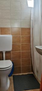 a bathroom with a toilet and a shower curtain at Lóci Palócház in Nagylóc +59 photos