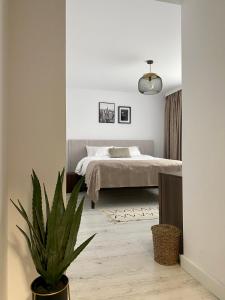 Voodi või voodid majutusasutuse Cosy Apartments & Bistro Pufești toas