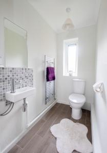 a bathroom with a toilet and a sink and a mirror at Mill House Bungalow in Potter Heigham