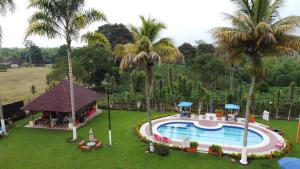 einen Luftblick auf einen Pool mit Palmen des Resorts in der Unterkunft Finca hotel los cocos in Montenegro