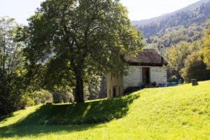 a small house on a hill with a tree at RUSTICO CONCEPRIO & SAUNA in Corzoneso