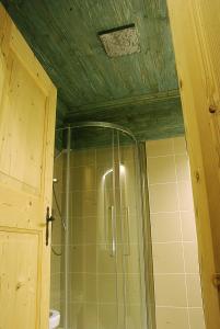 a shower in a bathroom with a ceiling at Jägerhaus Agriturismo in Cortina dʼAmpezzo