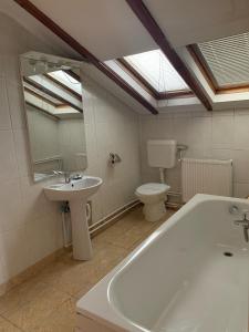 un bagno con vasca, WC e lavandino di Vila Azuga ad Azuga Altre 9 foto