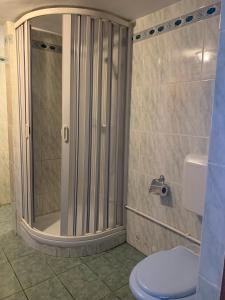 un bagno con doccia e WC di Vila Azuga ad Azuga