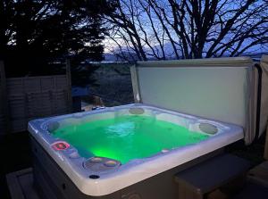 a bath tub with a green liquid in it at Linne Lodge in Tain