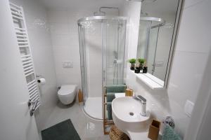 een badkamer met een douche, een wastafel en een toilet bij Apartment Ispod ure in Sinj