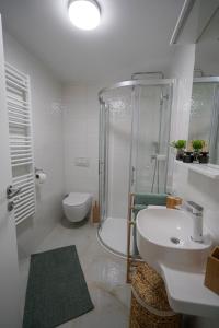 Koupelna v ubytování Apartment Ispod ure