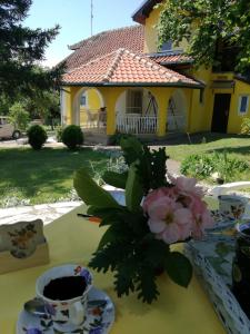 Zahrada ubytování Apartman Lora