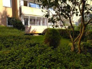 Vonkajšia záhrada v ubytovaní Apartament SunForYou 2
