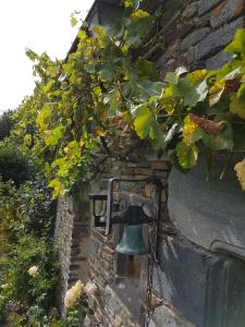 Zahrada ubytování Le clos du Tay