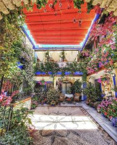 En have udenfor Apartamentos del Alcazar Viejo de San Basilio