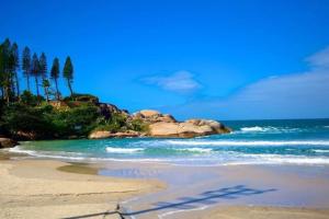 una spiaggia sabbiosa con alberi e l'oceano di Moradas Recanto da Joaquina a Florianópolis