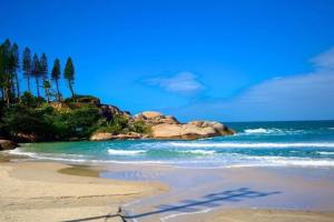 una playa de arena con árboles y el océano en Moradas Recanto da Joaquina, en Florianópolis