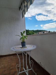 une plante en pot assise sur une table sur un balcon dans l'établissement APP Lucija, à Lucija