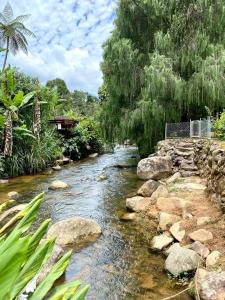 a stream of water with rocks and trees at Bangalo a beira do rio em plena natureza in Petrópolis
