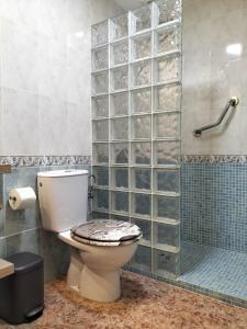a bathroom with a toilet and a shower at Aitana Apartment in Gran Alacant