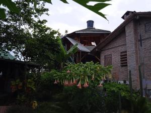 Gallery image of Punto Verde Ecological house in Montañita +51 photos