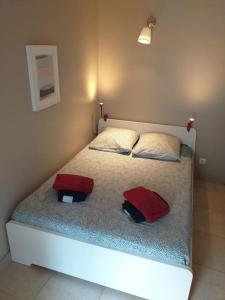 sypialnia z łóżkiem z 2 czerwonymi poduszkami w obiekcie Domus Arena, parking, wifi, arènes w mieście Nîmes