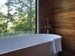 a bath tub in a room with a window at Luxury mountain loft in Pucón +38 photos