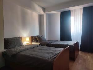 a bedroom with two beds and a window at Antoni Apartment in Skopje