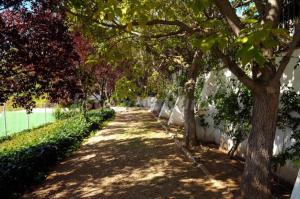 Vonkajšia záhrada v ubytovaní Finca Cerro del Moro