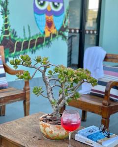 Hospedaria da Lagoa في فلوريانوبوليس: شجرة بونساي على طاولة مع كوب من النبيذ