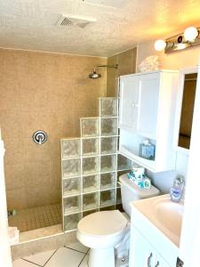 a bathroom with a toilet and a sink and a shower at Coastal Cozy - Ocean View at Symphony Beach Club in Ormond Beach