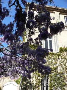 حديقة خارج Chambres d'hôtes Maison Auguste