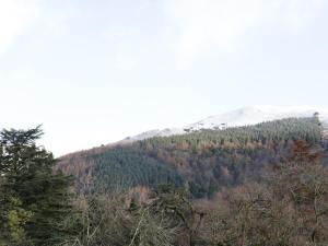 ケズウィックにあるWrenvilleの木々が植えられた山の景色