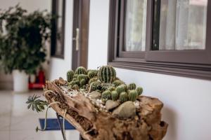 Fotografie z fotogalerie ubytování Nhat Quang Hotel v destinaci Bao Loc
