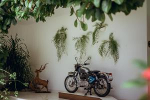 Jízda na kole v ubytování Nhat Quang Hotel nebo okolí