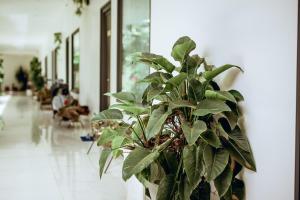 Fotografie z fotogalerie ubytování Nhat Quang Hotel v destinaci Bao Loc