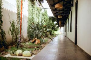 Zahrada ubytování Nhat Quang Hotel