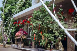 eine Ausstellung von Blumen und Pflanzen in einem Laden in der Unterkunft Nhat Quang Hotel in Bảo Lộc