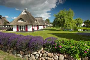 a house with a thatched roof with purple flowers at Ferienhaus Haubenlerche 62 in Fuhlendorf