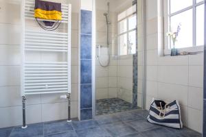 a shower with a glass door in a bathroom at Ferienhaus Schilfrohrsaenger 48 in Fuhlendorf