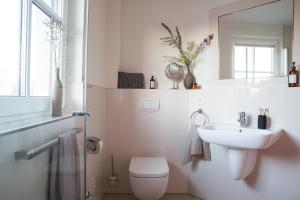 a bathroom with a sink and a toilet and a mirror at Ferienhaus Schilfrohrsaenger 8 in Fuhlendorf +28 photos