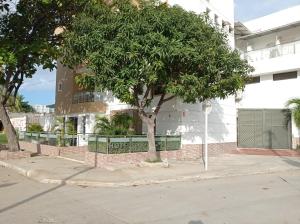 un árbol en una acera frente a un edificio en Hotel Tamaca Real, en Santa Marta