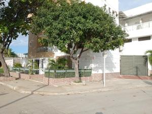 a tree on a sidewalk in front of a building at Hotel Perla Real in Santa Marta