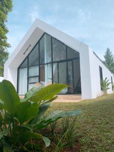 ein Haus mit Glasfenstern und einer Pflanze in der Unterkunft Casa de Gaudi Lembang in Lembang