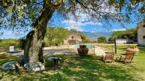 a yard with two chairs and a tree at Exclusive Pool-open All Year-spoleto Biofarm-slps 8-village shops, bar1 km 2 in Poreta